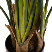 Mű strelitzia növény élethű szárakkal és barna levélalapokkal, fekete kaspóban.