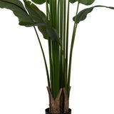 STRELITZIA zöld mű strelitzia közeli fotója a növény száráról .