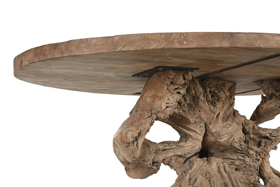 Alulnézet – az asztallap és a gyökér talapzat csatlakozása.