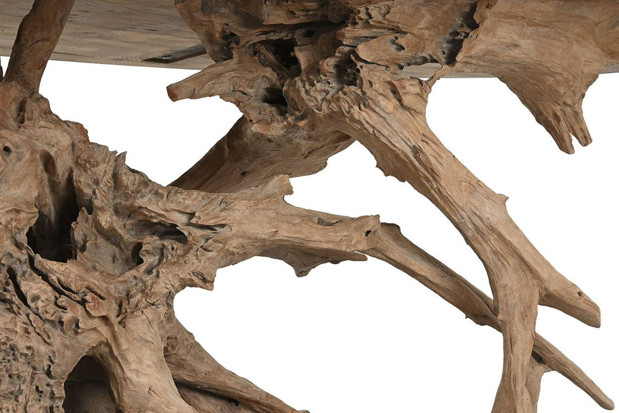 Gyökérforma részlet – teakfa organikus mintázat közelről.
