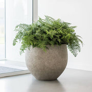 Kerek, természetes textúrájú kaspó páfrány növénnyel beltéri, világos enteriőrben elhelyezve