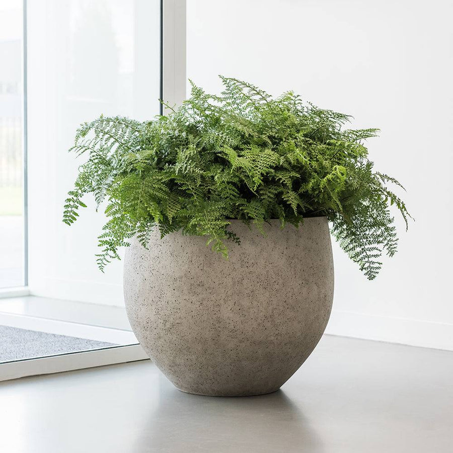 Kerek, természetes textúrájú kaspó páfrány növénnyel beltéri, világos enteriőrben elhelyezve