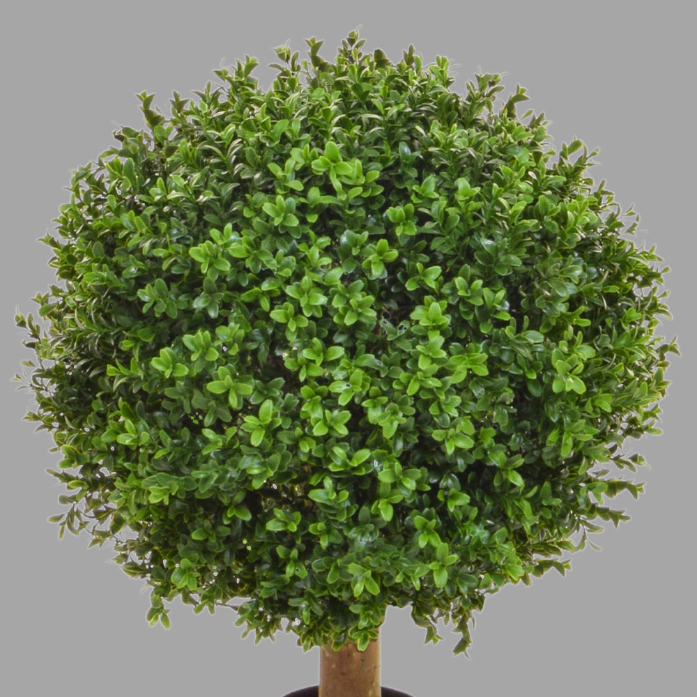 Zöld színű buxus fa műnövény.