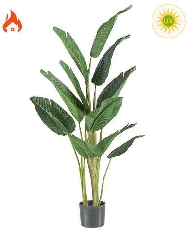 Zöld színű strelitzia műnövény.