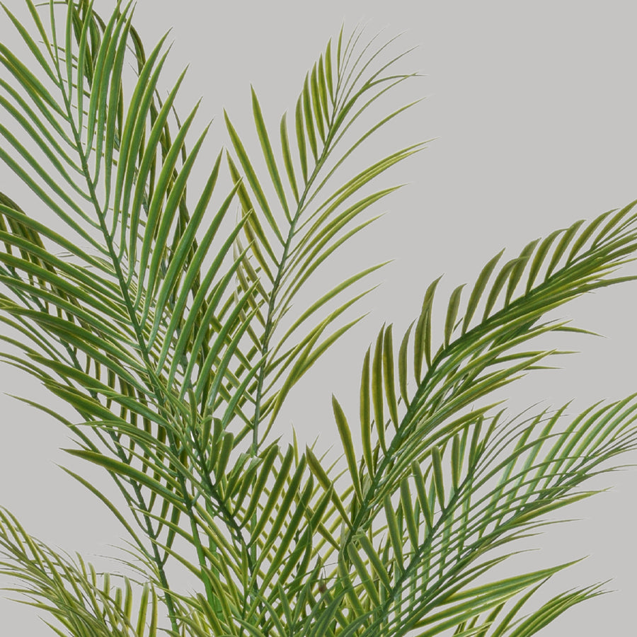 Zöld színű aranypálma műnövény.