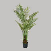 Zöld színű aranypálma műnövény.