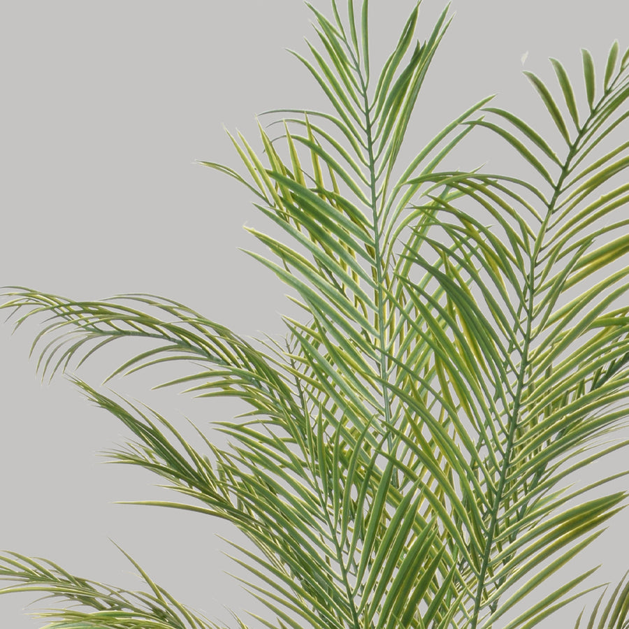 Zöld színű aranypálma műnövény.