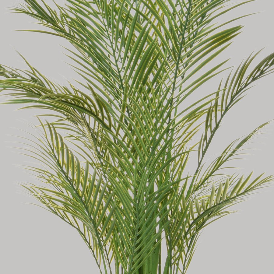 Zöld színű aranypálma műnövény.