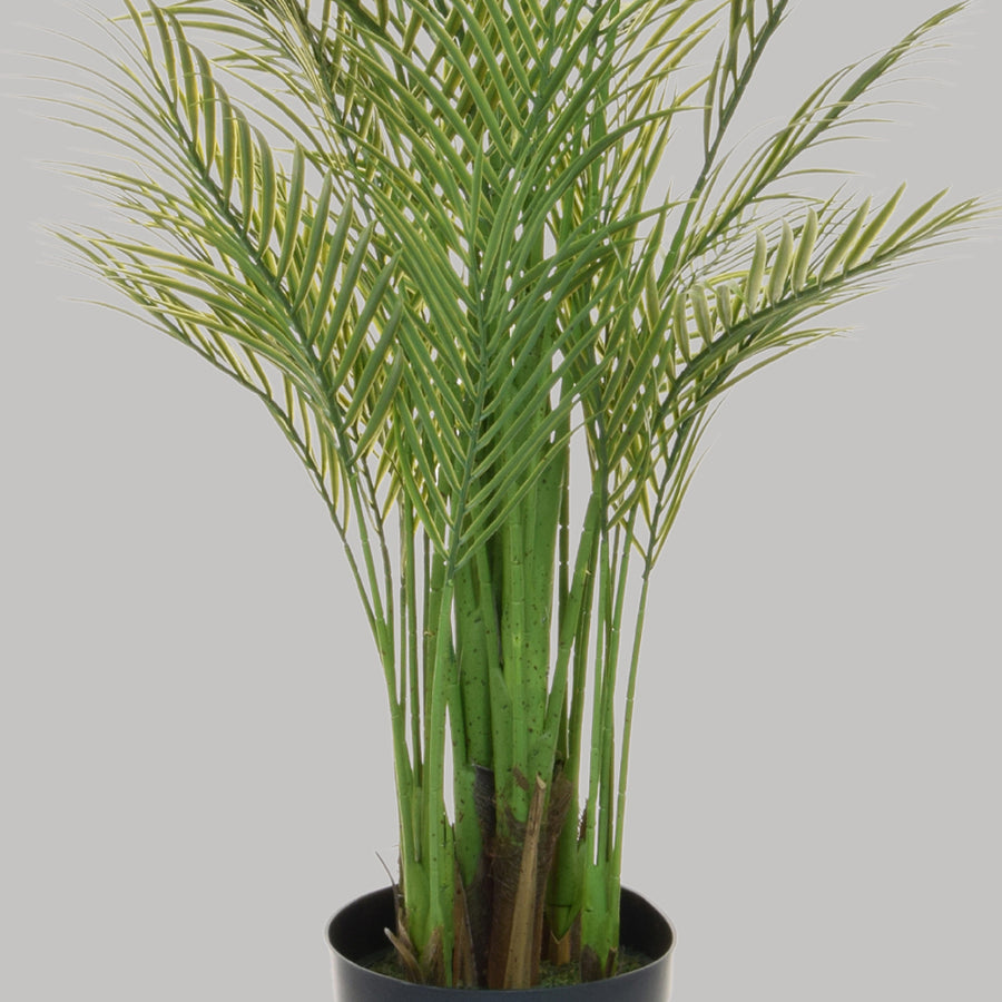 Zöld színű aranypálma műnövény.