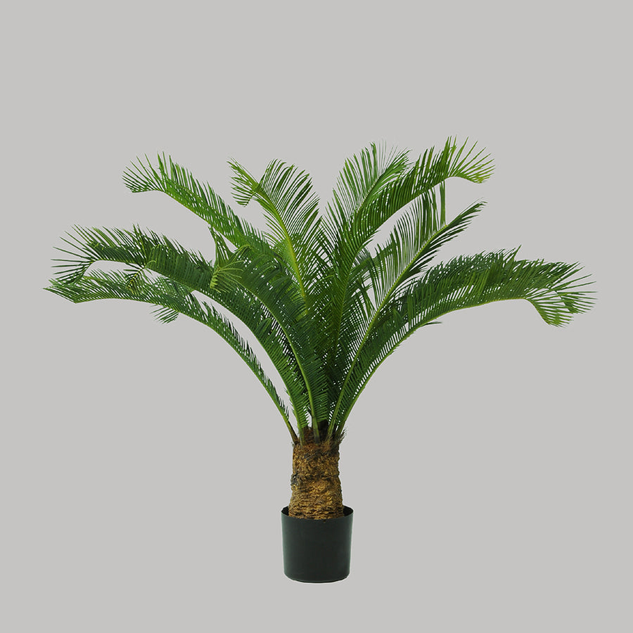 Zöld színű cikász pálma műnövény.