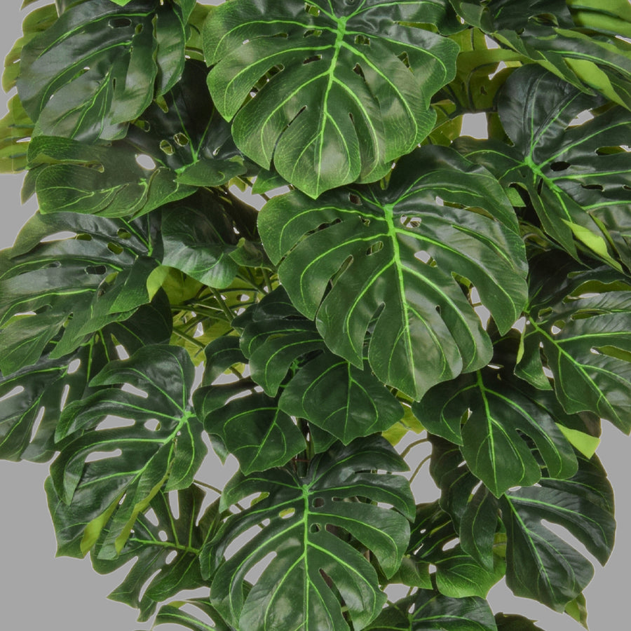 Zöld színű filodendron műnövény.