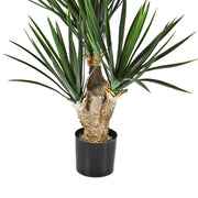 Yucca baby jukka műnövény törzse és fekete cserép közelről.