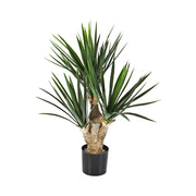 Yucca zöld mű baby jukka pálma 68 cm teljes növény fekete kaspóban.