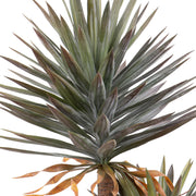 Mű jukka pálma részletfotó hosszúkás zöld levelekkel, élethű kidolgozásban.