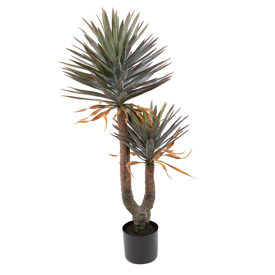 Élethű, két törzsű, 142 cm magas zöld mű jukka pálma fekete cserépben.