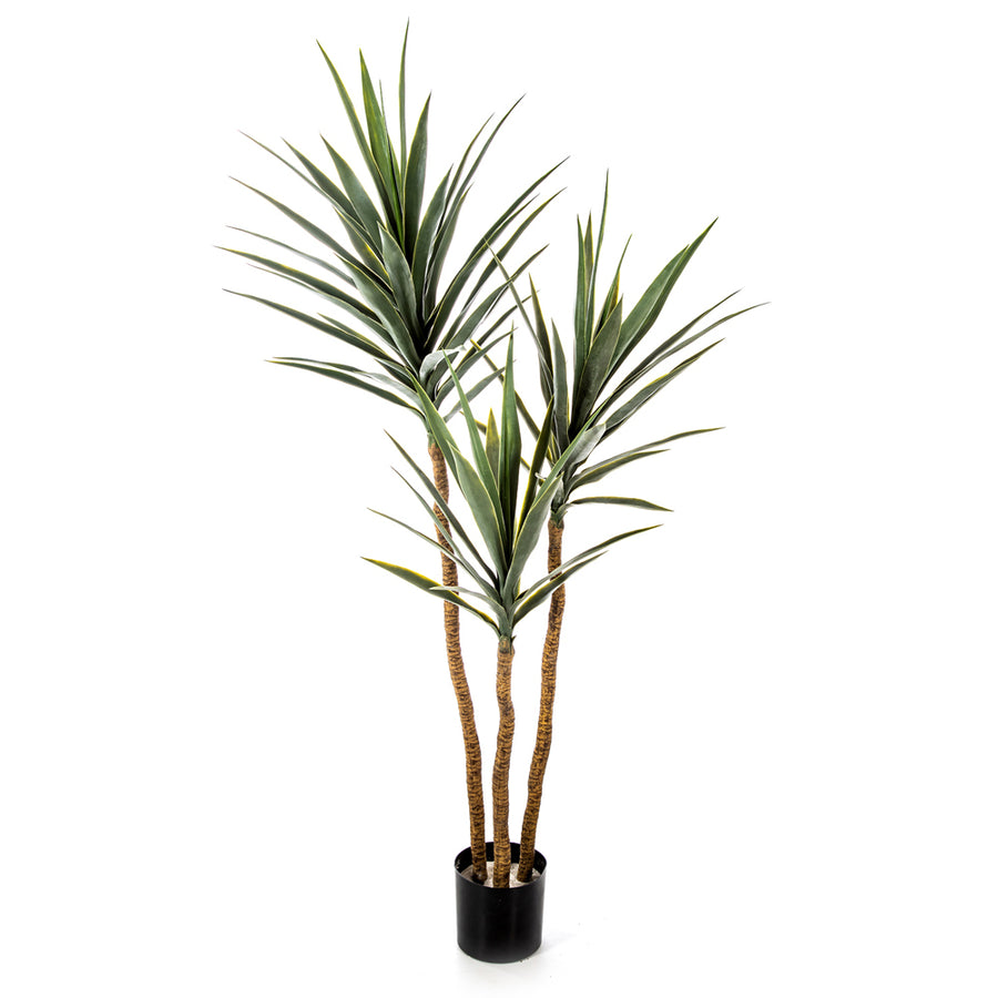Három törzsű, 160 cm magas YUCCA De Luxe mű jukka pálma fekete cserépben.
