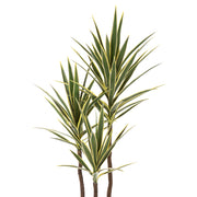 YUCCA De Luxe jukka pálma élethű, hosszúkás zöld leveleinek részlete közelről.