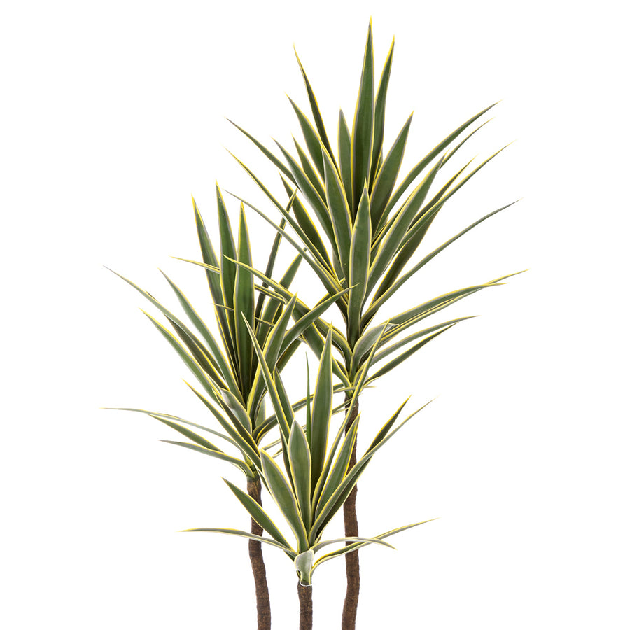 YUCCA De Luxe jukka pálma élethű, hosszúkás zöld leveleinek részlete közelről.