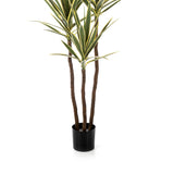 YUCCA De Luxe jukka pálma három barna törzsének és fekete cserepének részletfotója.