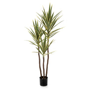 Három törzsű, 160 cm magas YUCCA De Luxe mű jukka pálma fekete cserépben.