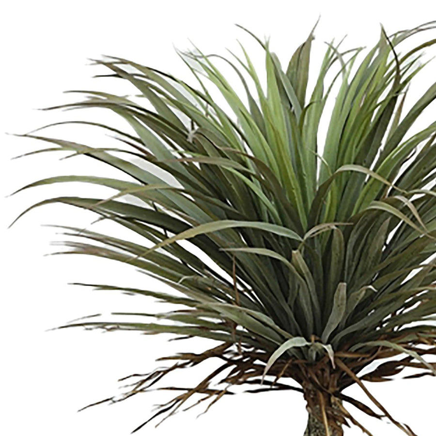 Yucca pálma műnövény részletfotó a levelekről