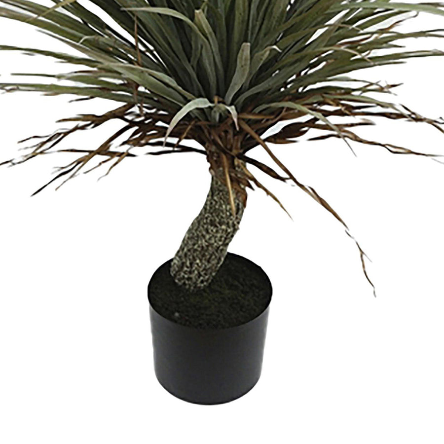 Jukka pálma műnövény törzzsel és fekete cseréppel