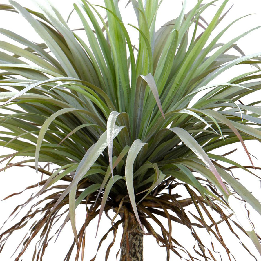 Yucca műnövény levelek közelről, élethű kidolgozásban