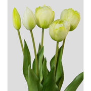 5 szálból álló, fehér színű tulipáncsokor művirág, nyílt és bimbós virágfejekkel.