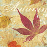 FALLEN LEAVES 20 db-os papírszalvéta