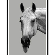 Fotóprint - Ló 93 cm