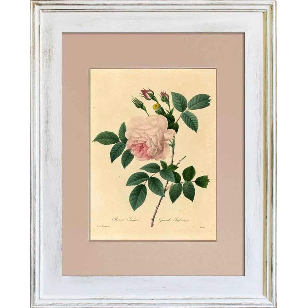 BOTANIC Redouté - Rózsa 47 cm