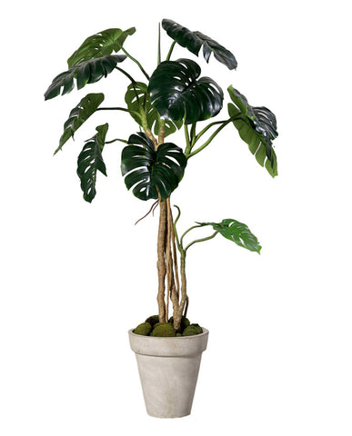 Élethű megjelenésű, 160 cm magas mesterséges filodendron kaspóban