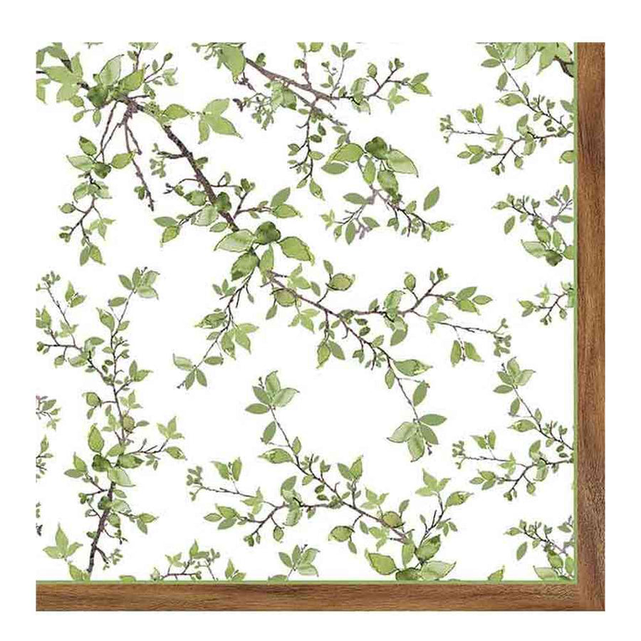 Zöldellő tavaszi faággal díszített, extra minőségű, 3 rétegű, természetesen fehérített puha papírszalvéta, 20 darabos kiszerelésbe csomagolva.