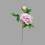 Mű bazsarózsa ág, halvány rózsaszín színű nyílt és bimbós virágfejekkel.