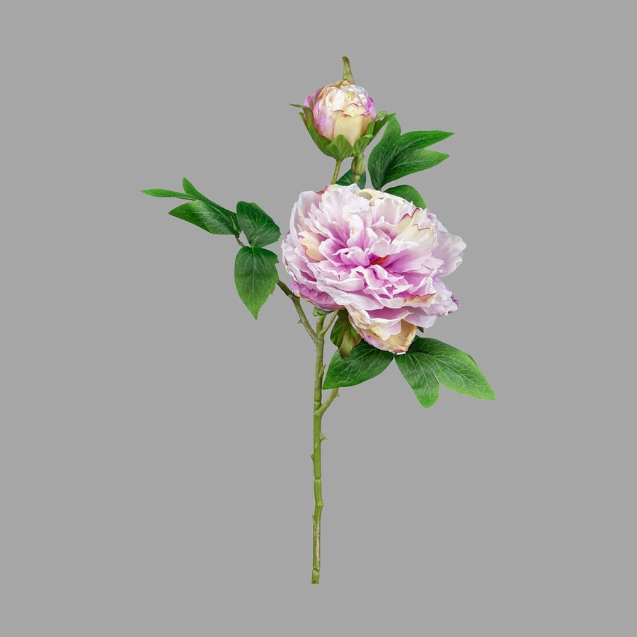 Mű bazsarózsa ág, halvány rózsaszín színű nyílt és bimbós virágfejekkel.