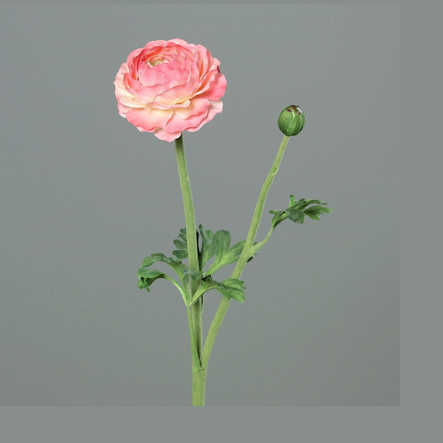 Mű boglárka, pink színű nyílt virágfejjel és egy bimbóval.