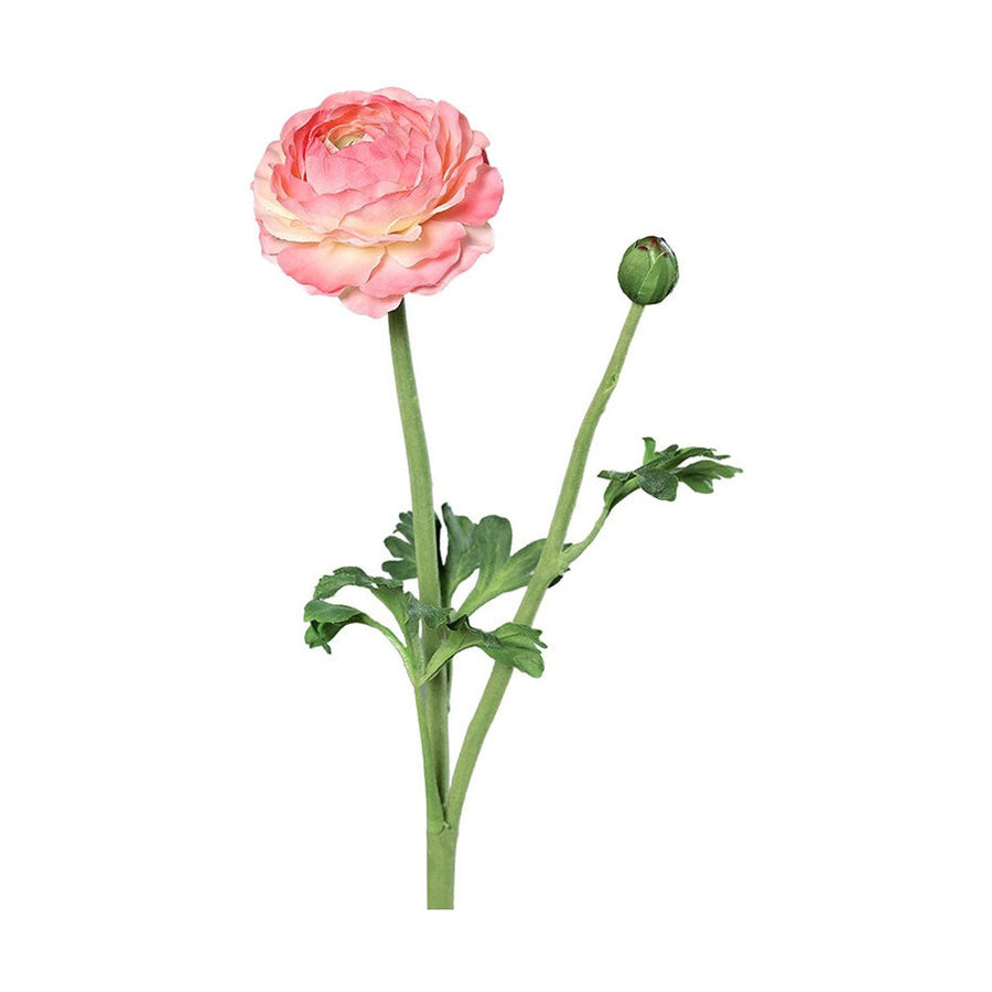 Mű boglárka, pink színű nyílt virágfejjel és egy bimbóval.