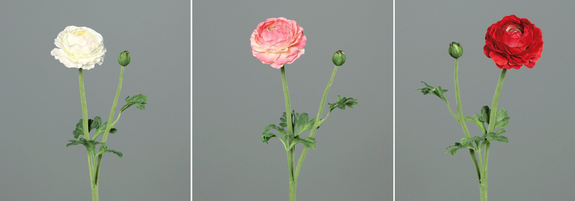 Krém, pink és piros színű mű boglárka virágok.