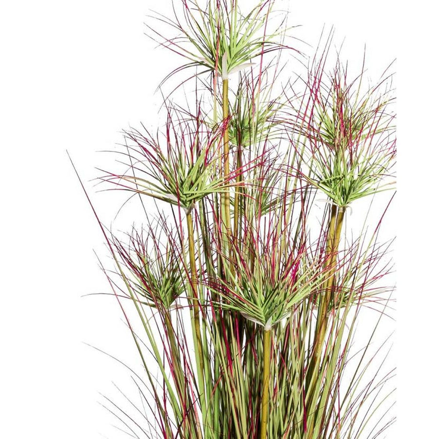 Zöld színű, bordó átmenetes bugákkal rendelkező, mű ciprusi fű, fekete műanyag kaspóban.