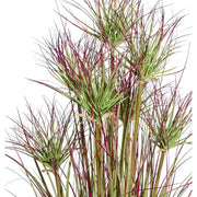 Ciprusfű bokor cserepes műnövény 95 cm zöld-bordó "Cyperus"