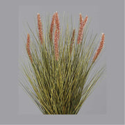 Barna színű kalászokkal rendelkező, 54 cm magas mű tollborzfű bokor, fekete műanyag kaspóban..