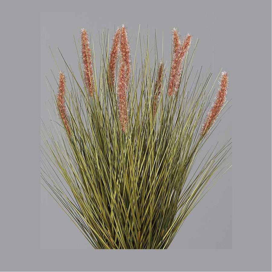 Barna színű kalászokkal rendelkező, 54 cm magas mű tollborzfű bokor, fekete műanyag kaspóban..