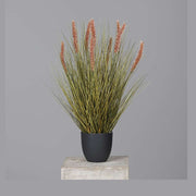 Barna színű kalászokkal rendelkező, 54 cm magas mű tollborzfű bokor, fekete műanyag kaspóban..