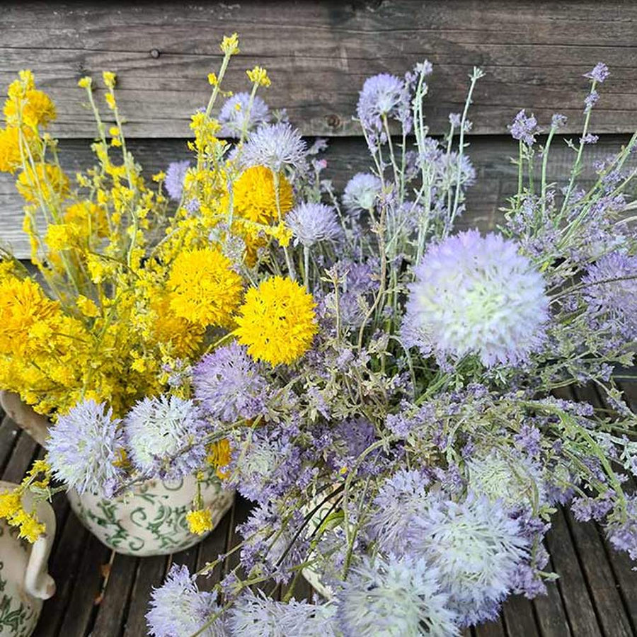 Bokrosan ágas szárú, lila színű dekorációs díszhagyma művirág