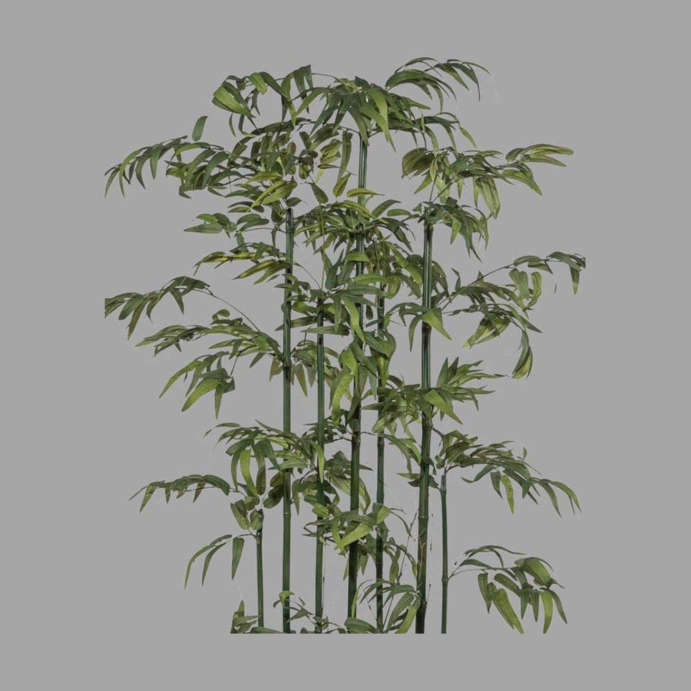 Zöld színű, mű térelválasztó bambusz dekornövény.