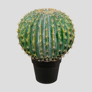 Élethű megjelenésű, 36 cm átmérőjű és 45 cm magas, zöld színű, mesterséges gömbkaktusz, fekete, műanyag cserépben.