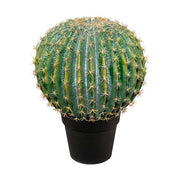 Élethű megjelenésű, 36 cm átmérőjű és 45 cm magas, zöld színű, mesterséges gömbkaktusz, fekete, műanyag cserépben.