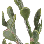 Élethű megjelenésű, 130 cm magas, hamvas zöld színű, mesterséges füge kaktusz, fekete műanyag cserépben.