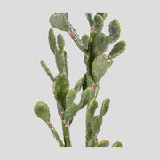 Élethű megjelenésű, 130 cm magas, hamvas zöld színű, mesterséges füge kaktusz, fekete műanyag cserépben.