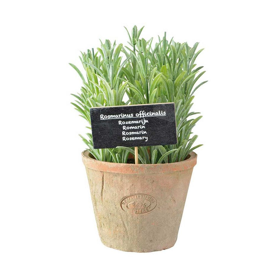 Élethű, mesterséges, 24 cm magas rozmaring dekor műnövény, vintage stílusú pecsétes terrakotta cserépben